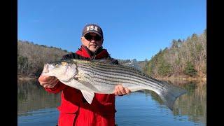 Ron Burnette with a NICE Carters Lake Striped Bass - December 2020