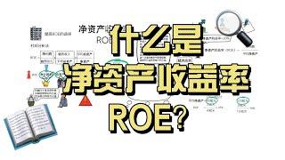 ROE，巴菲特最看重的指标。什么是净资产收益率ROE？杜邦分析法教你通过ROE选择公司