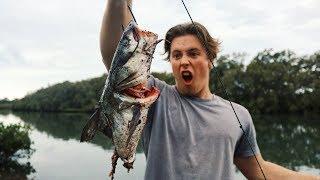 Food Chain Fishing Challenge - Tiny Fish to River Monsters