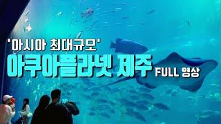 Jeju Aqua Planet full video