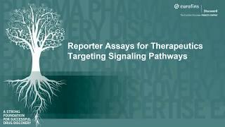 Simple Signaling Reporter Assays – Easily Quantify Activation & Inhibition of Cellular Pathways