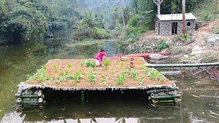 Full video 120 days build free farm:build dog house with stone, Plan to grow vegetables on water