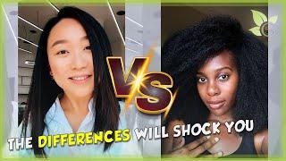 The difference between AFRO and EAST ASIAN hair