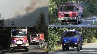 [20 Hektar Waldbrand im Harz 2024!] Einsatzfahrten Feuerwehr und THW in Schierke