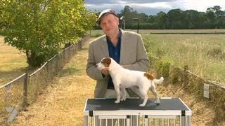 Dr Harry with Judies pups