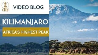 Mt Kilimanjaro - (Kilimanjaro Summit)