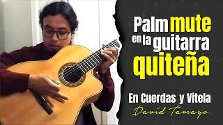 Cómo tocar el Palm Mute en el toque de la Guitarra Quiteña  / TUTORIAL 5 #tutorial  #palmmute