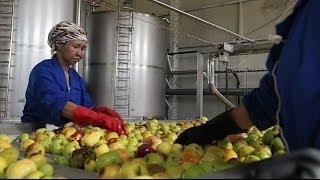 ADB and Kazakhstan: Developing the Agricultural Business Sector