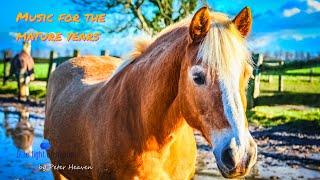 beautiful music for people in their mature years - beautiful and happy