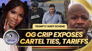 OG Rollin' 60 Crip Reveals US Backed Mexican Cartels and Trump’s Hidden Tariff Scheme