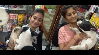 ADITYA DOG POINT GHAZIPUR, Aditya dog pint ghazipur, indian video, dog ka video, pet animal