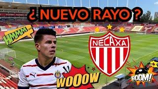 PÁVEL PÉREZ LLEGA AL NECAXA?  ÚLTIMA INFORMACIÓN SOBRE PÁVEL PÉREZ Y EL NECAXA