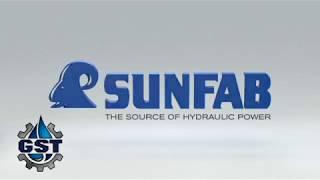 Ремонт гидронасоса Sunfab, Ремонт гидромотора Sunfab