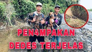 PENAMP4KAN DEDES TERJEL4S DI KEJ4R 4NJING PEMBURU||DEDES NYEBRANG SUNGAI YANG DER4S #1