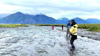 Salmon Fishing | Hope Alaska