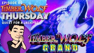 TIMBER WOLF THURSDAY!  [EP 05] QUEST FOR A JACKPOT! TIMBER WOLF GRAND Slot Machine (Aristocrat)