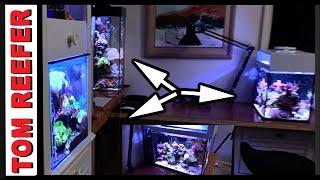 4 Reef Tanks In One Tiny Room - (Check out the Tom Reefer Studio)