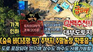 대부도급매 땅 주말농장 주택부지 추천 평당100만원 이하 토지 /대부도임소장/3090부동산/(매물번호 920 )