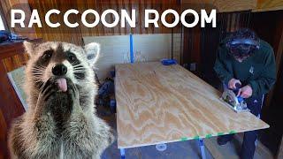 Turning my Bedroom into a Massive Raccoon Enclosure!  Part 1