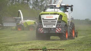 Claas - Fendt - John Deere - Krone / Erster Schnitt - First Cut