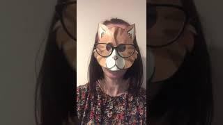 Cat diary entry