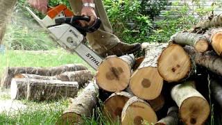 STIHL MS260 chainsaw test cuts