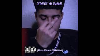 Just a dog (Juan Mendez Freestyle)