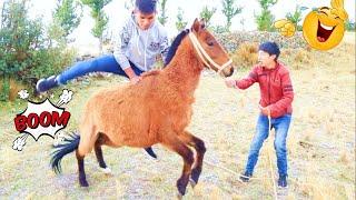 MONTANDO CABALLO / Jhonatan Urpi