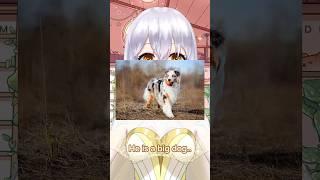 My BIG DOG think he is a SMALL DOG #vtuber #vtubers #envtubers