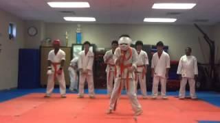 Karate Harlem Shake