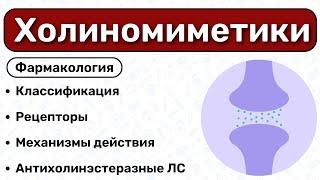 Холиномиметики: классификация, механизмы действия / Фармакология