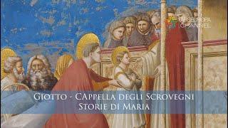 Simbologia de "Le storie di Maria alla Cappella Scrovegni" -   Giotto -   I SIMBOLI NELL'ARTE