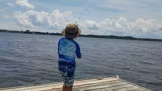 catching a skate. #fishing #homesteaders #fisherman #saltlife #youngfisher