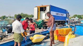 தங்கு தொழிலுக்கு கிளம்பியாச்சு | We Are Going To Deep Sea Fishing