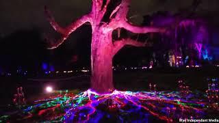 Bute Park light show, Cardiff, South Wales!