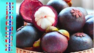 #ВидеоОбзор - Экзотические фрукты -МАНГОСТИН (mangosteen) - вкусный Тайланд с Константином жуком