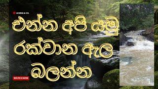 පල්ලේබැද්ද රක්වාන් ඇල්ල.pallebadda rakwan ella#travel Ratnapura@