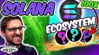 3 Solana Ecosystem Projects You NEED To Know!