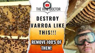 Varroa mite Control Frames//Ingenious Varroa Control//Kill Varroa mite in your hive//Collect beeswax