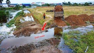 Technique landfill!! Start up project power dozer push land to drain water with dump truck 5TON