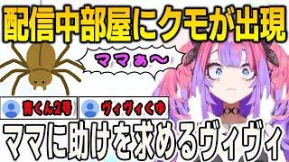 配信中にクモに襲われたヴィヴィ！青くんのカメムシと同じになりかける【綺々羅々ヴィヴィ/⻁⾦妃笑⻁/⽔宮枢/FLOWGLOW/ホロライブ/マインクラフト/Minecraft /切り抜き】