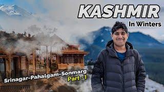 Exploring Srinagar with Family (Part 1) | Kashmir Diaries | Travel Stories | Hindi | Chetan Gupta