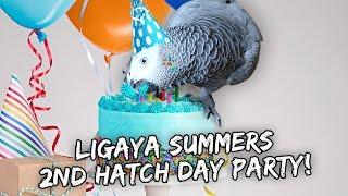 My Bird's 2nd Birthday  - JOIN US! | Vlog #885