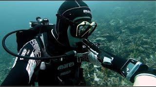 Scuba Diving Equipment Review: Mares Genius Dive Computer