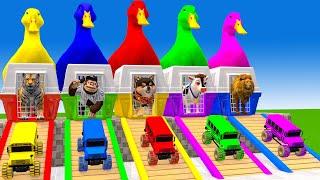 5 Giant Duck Cartoon,Cow,Elephant,Tiger,Lion,Dinosaur,Paint Wild Animals Crossing Fountain Animation