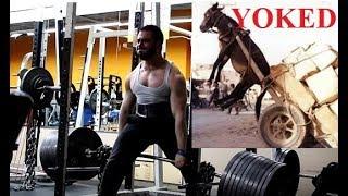 22-Year-Old AlphaDestiny Giving Advice To Older Lifters On Longevity & Recovery... Seriously?