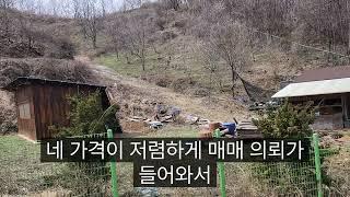 판암 IC 에서 약15분거리 매매 1억2천만원 버섯 산나물 약초 등 가꾸기 좋은환경