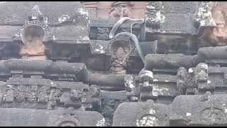 snake at golingeswaraswamy temple bikkavolu #rajahmundry