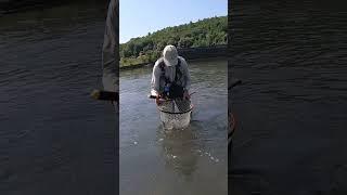 Fly Fishing A MASSIVE RAINBOW Trout in Bulgaria