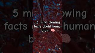 5 mind blowing facts about human brain!! #facts #shorts#viral